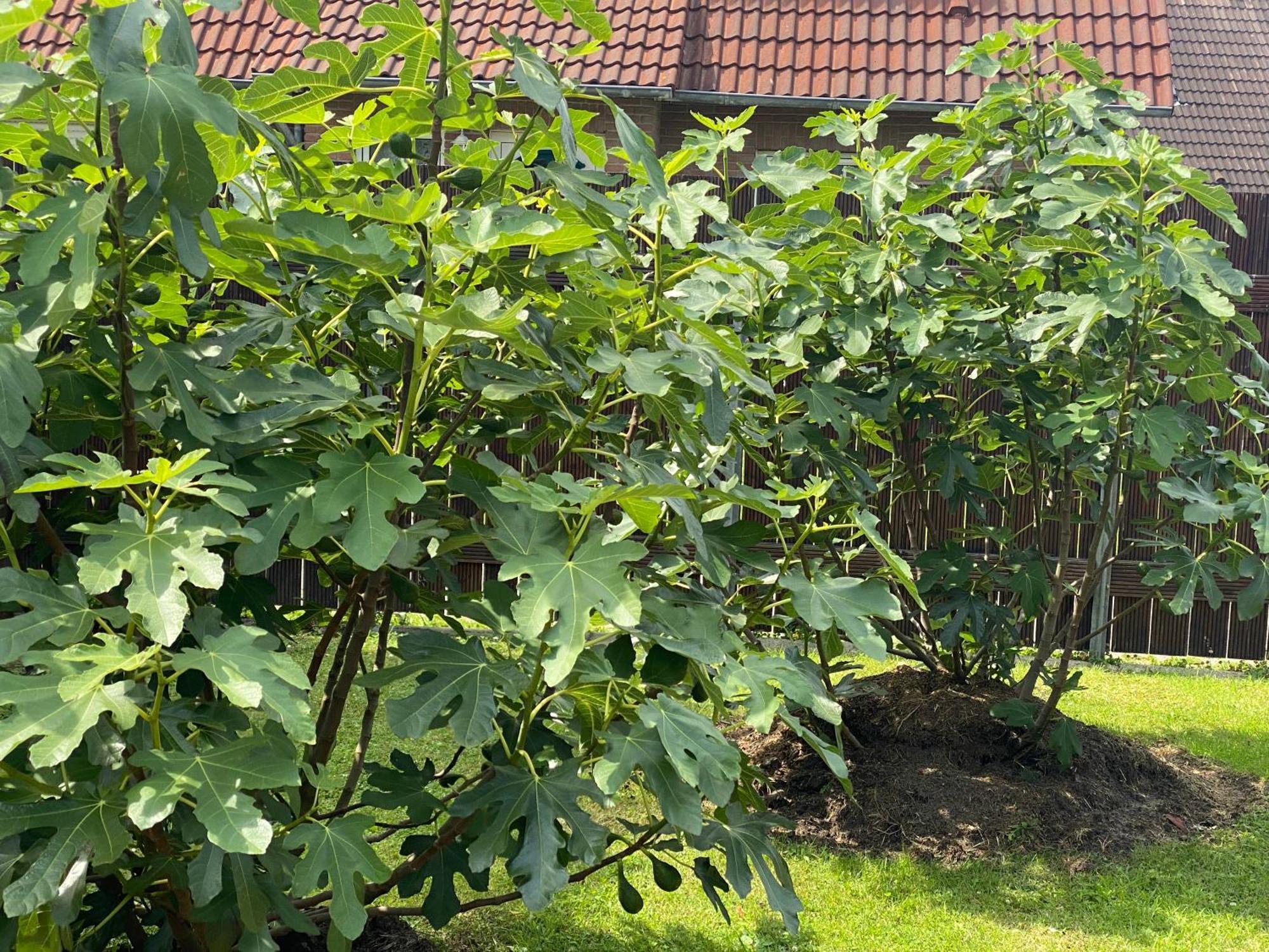 Ferienhaus Ankerweg An Der Seehundstation Norddeich  Buitenkant foto